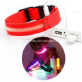 Led light dog collar